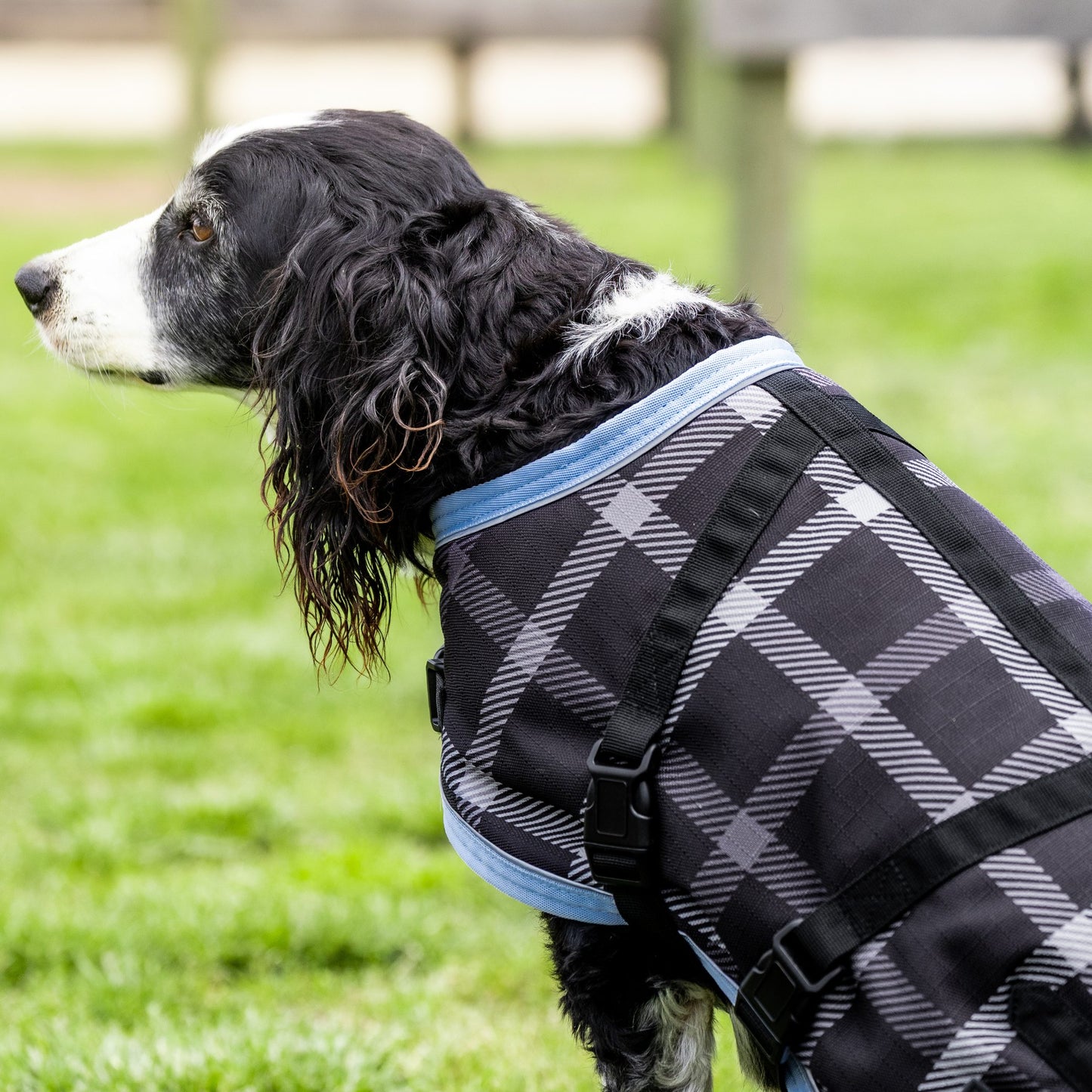 EQ Armour 1200D Dog Rug