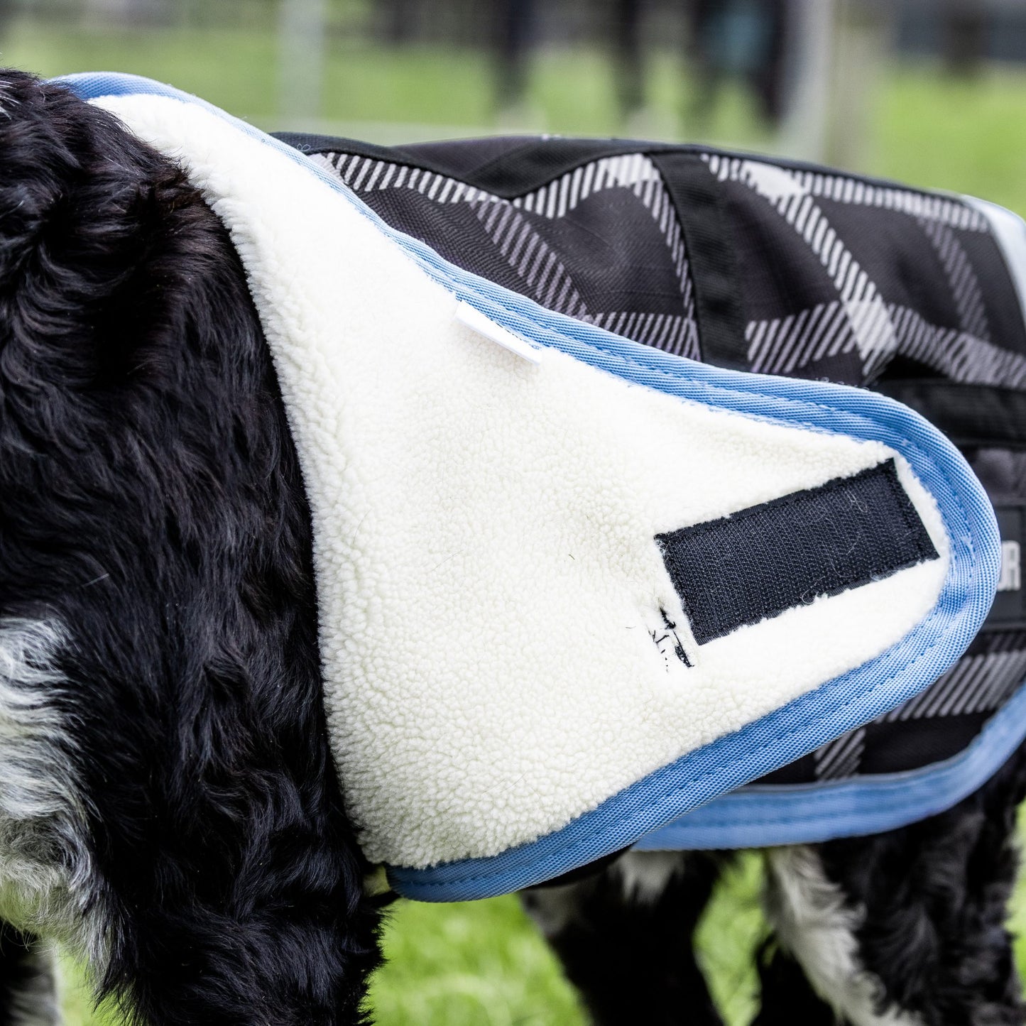 EQ Armour 1200D Dog Rug