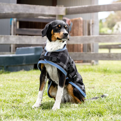 EQ Armour 1200D Dog Rug