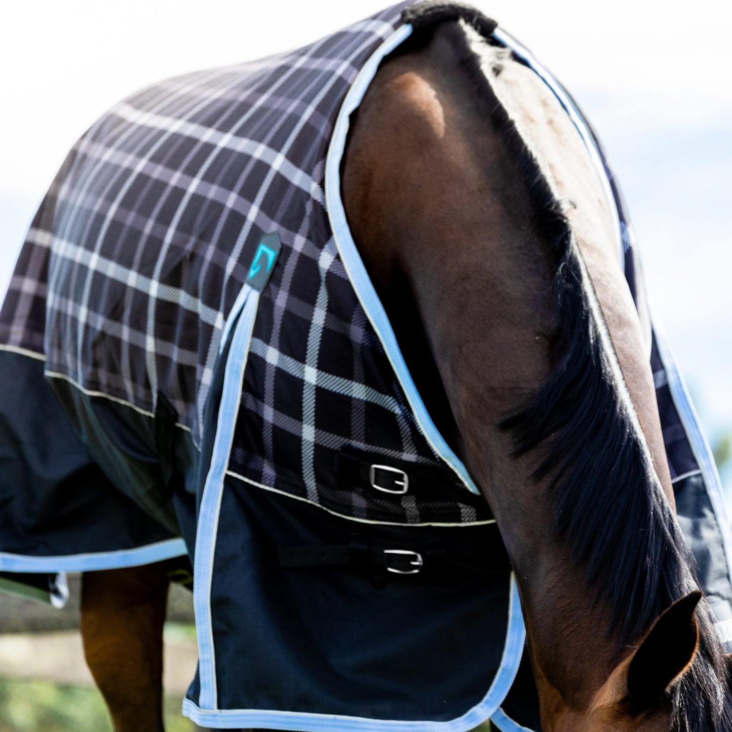 EQ Armour Ascent Plus 1200D 180g Rug