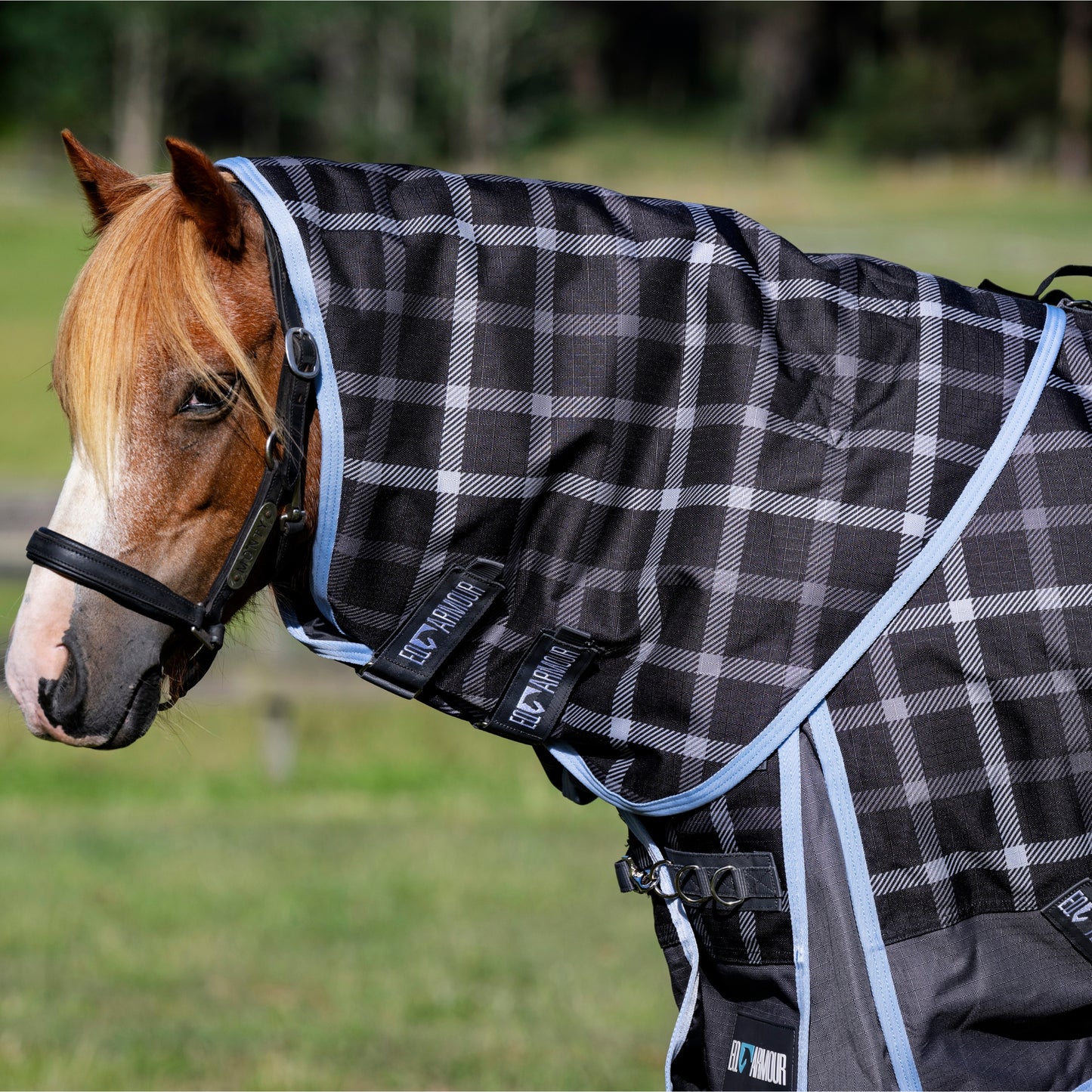 EQ Armour Ascent Plus 1200D 180g Detach-a-Neck - EQ Saddlery