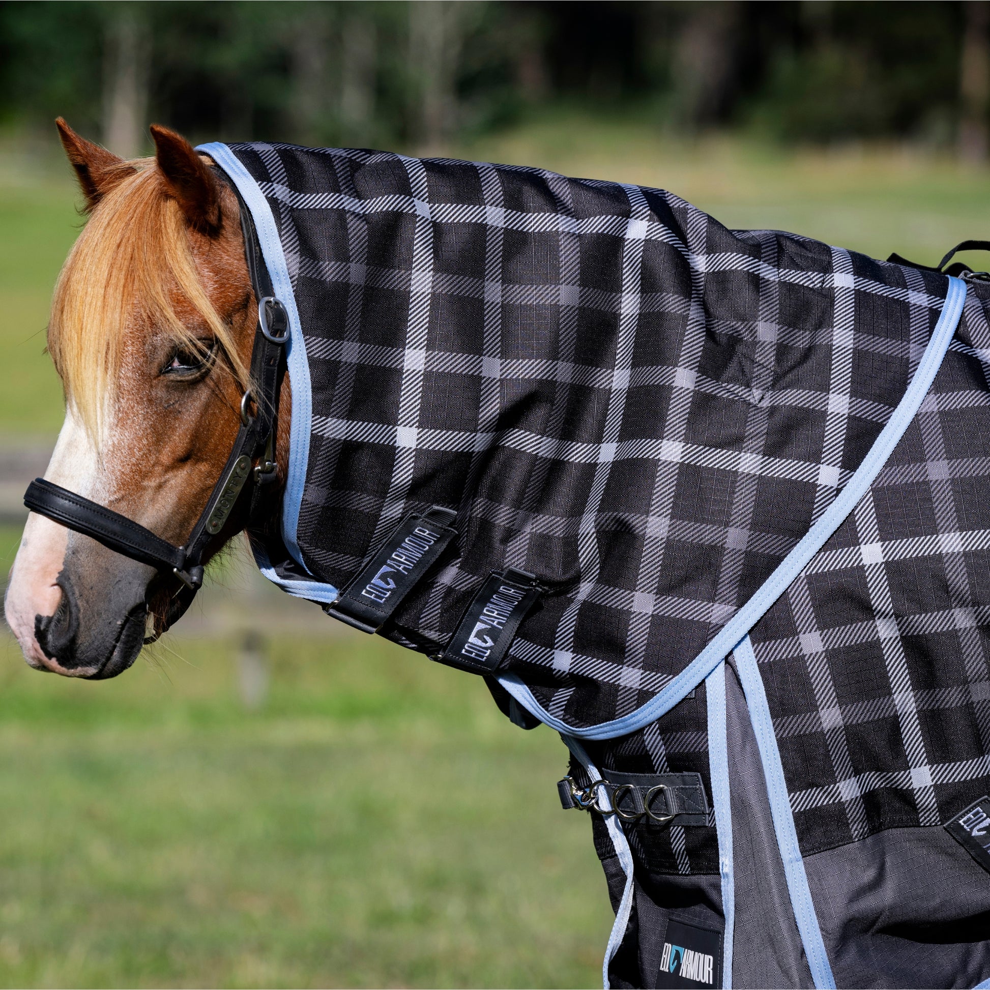EQ Armour Ascent Plus 1200D 180g Detach-a-Neck - EQ Saddlery