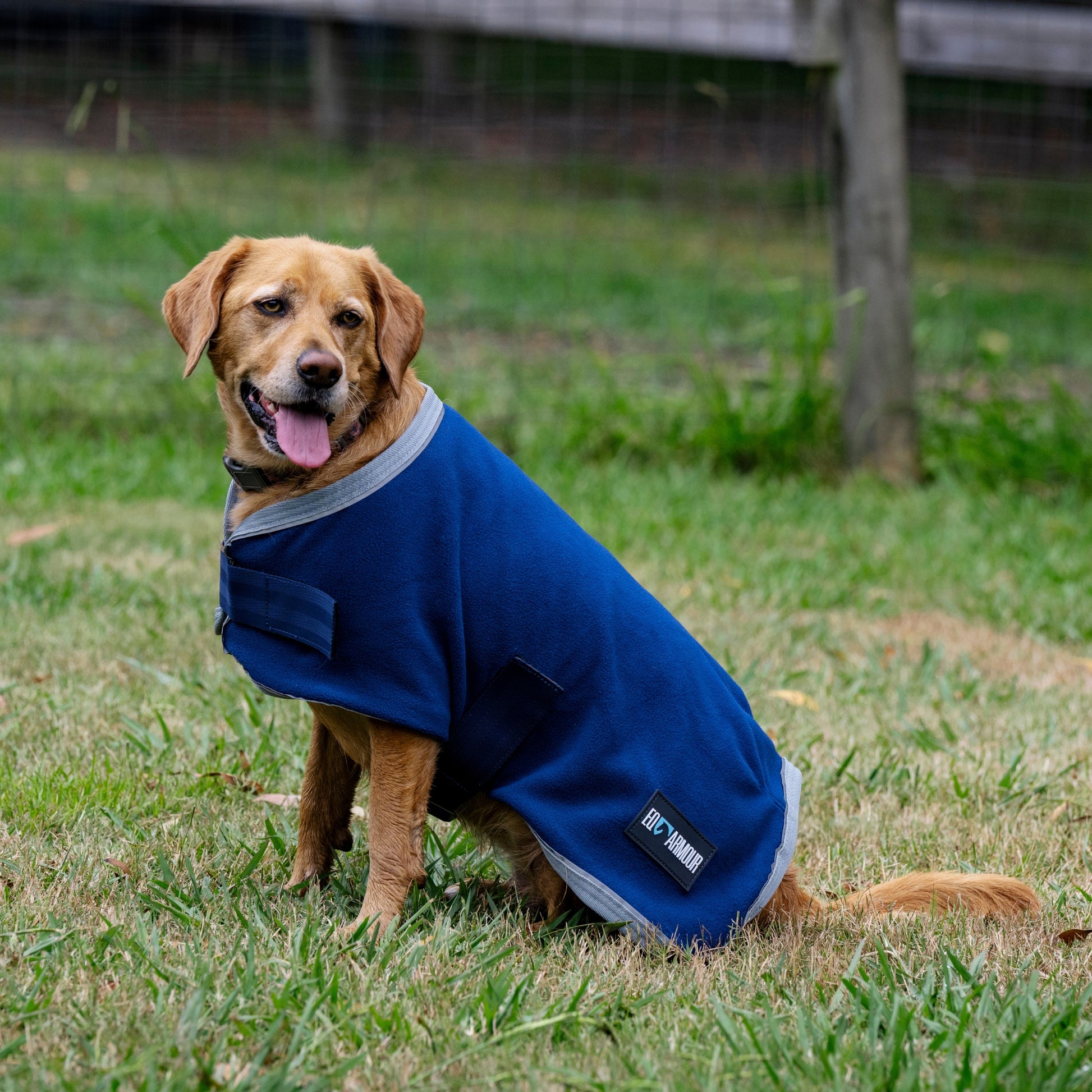 EQ Armour Fleece Dog Rug - EQ Saddlery