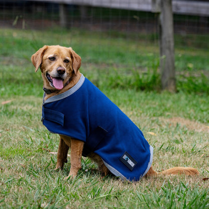 EQ Armour Fleece Dog Rug - EQ Saddlery