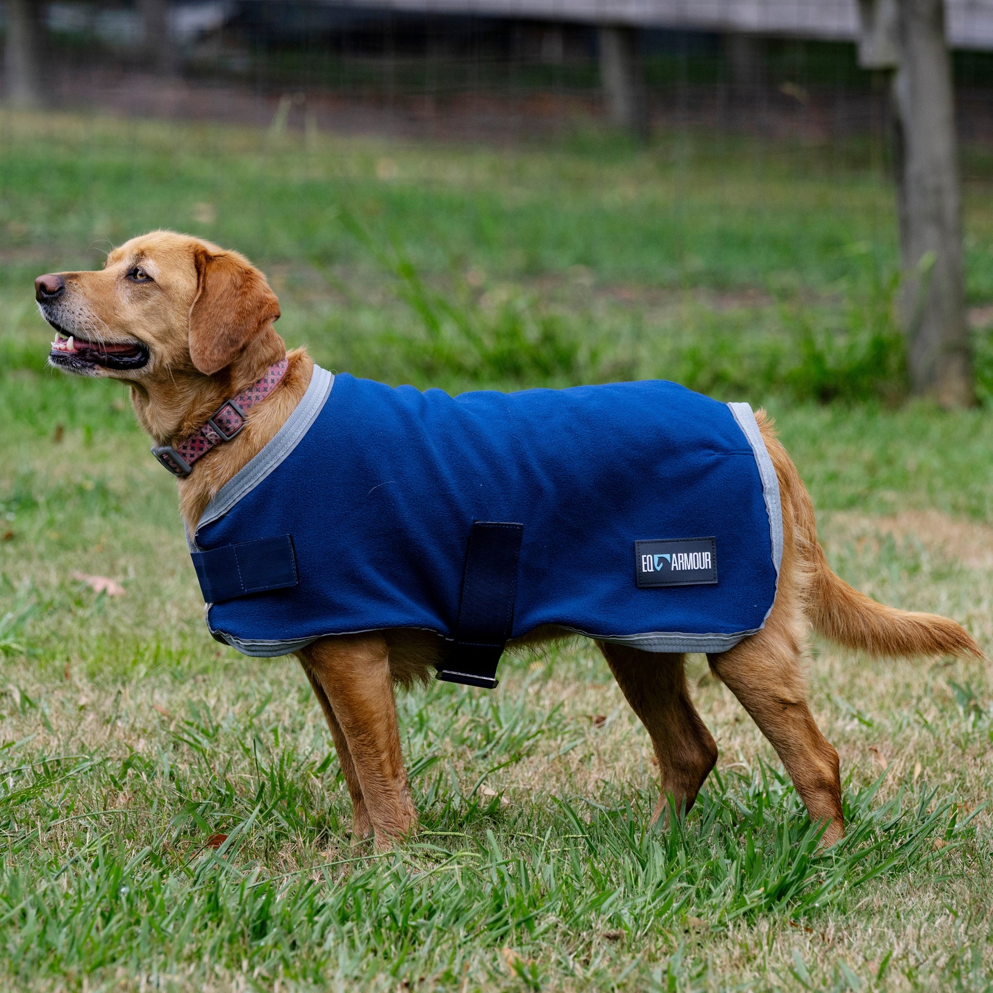EQ Armour Fleece Dog Rug - EQ Saddlery