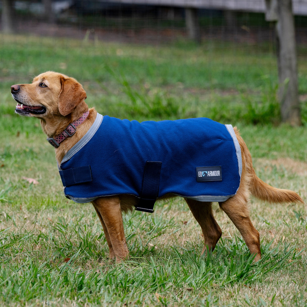 EQ Armour Fleece Dog Rug - EQ Saddlery