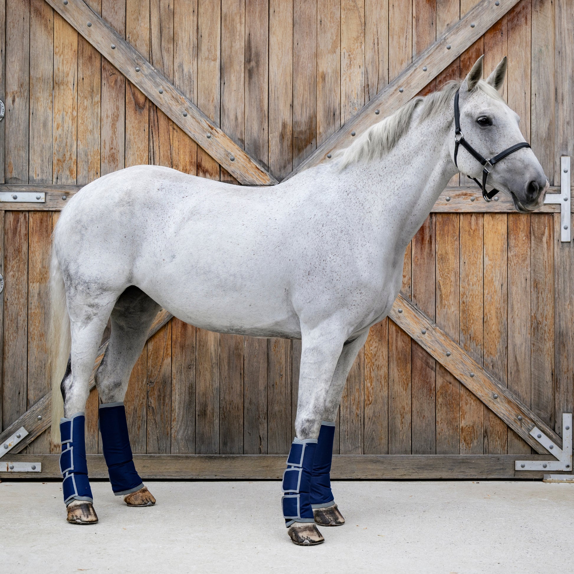 EQ Armour Float Boot Navy - EQ Saddlery