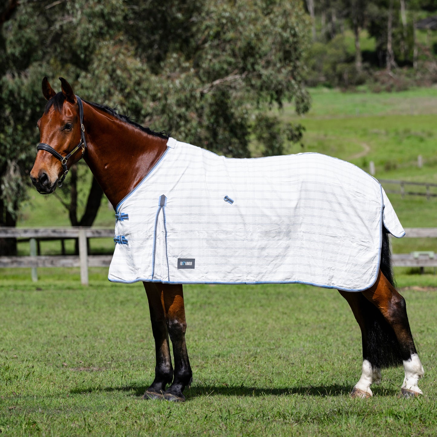 EQ Armour Summer Deluxe Rug