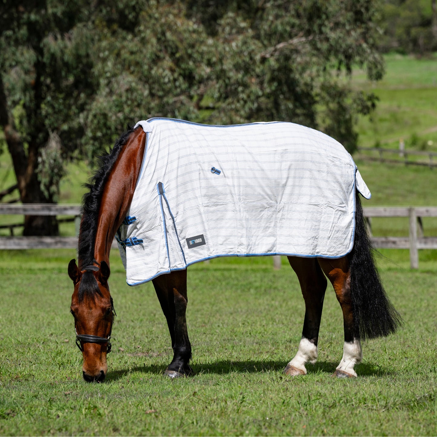 EQ Armour Summer Deluxe Rug