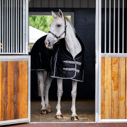 EQ Armour Trophy Rug