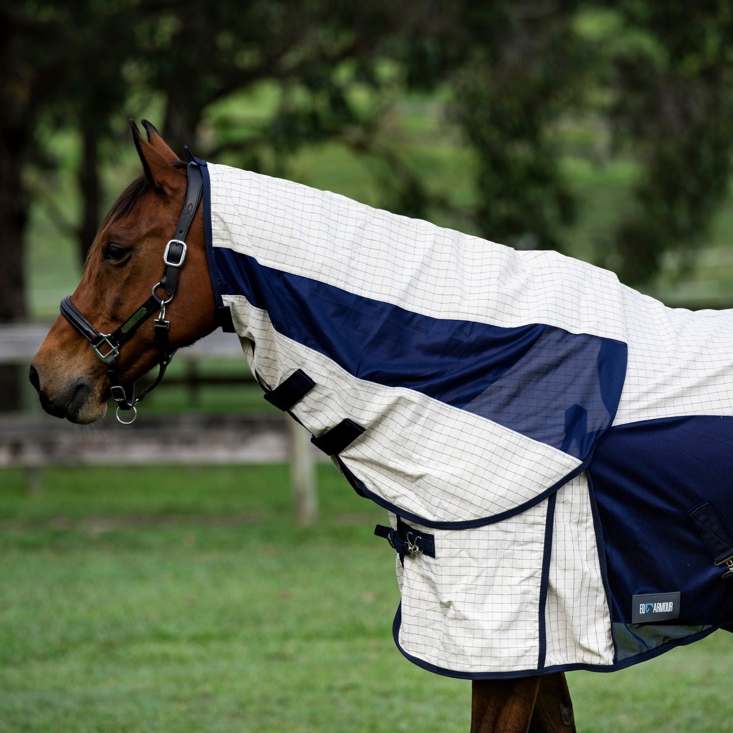 EQ Armour Ultra Hybrid Combo - EQ Saddlery