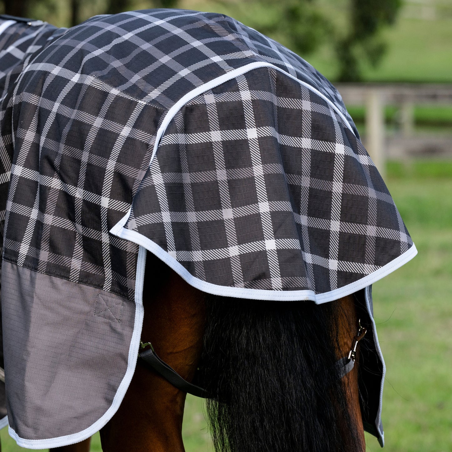 EQ Armour Ascent Plus 1200D 180g Rug - EQ Saddlery