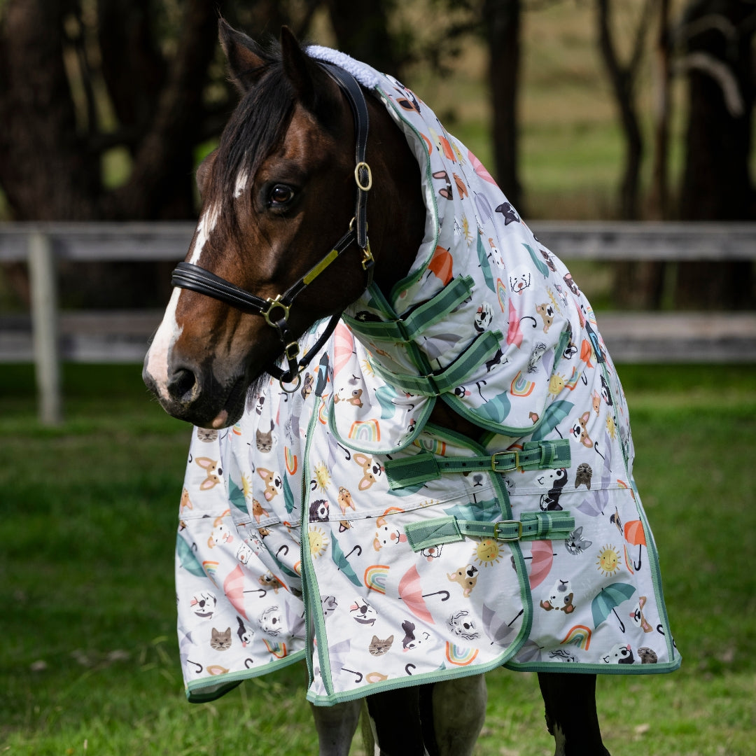 EQ Armour Ascent 600 Combo - EQ Saddlery
