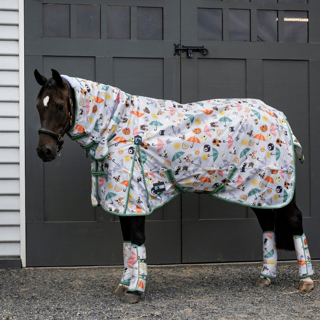 EQ Armour Ascent 600 Combo - EQ Saddlery