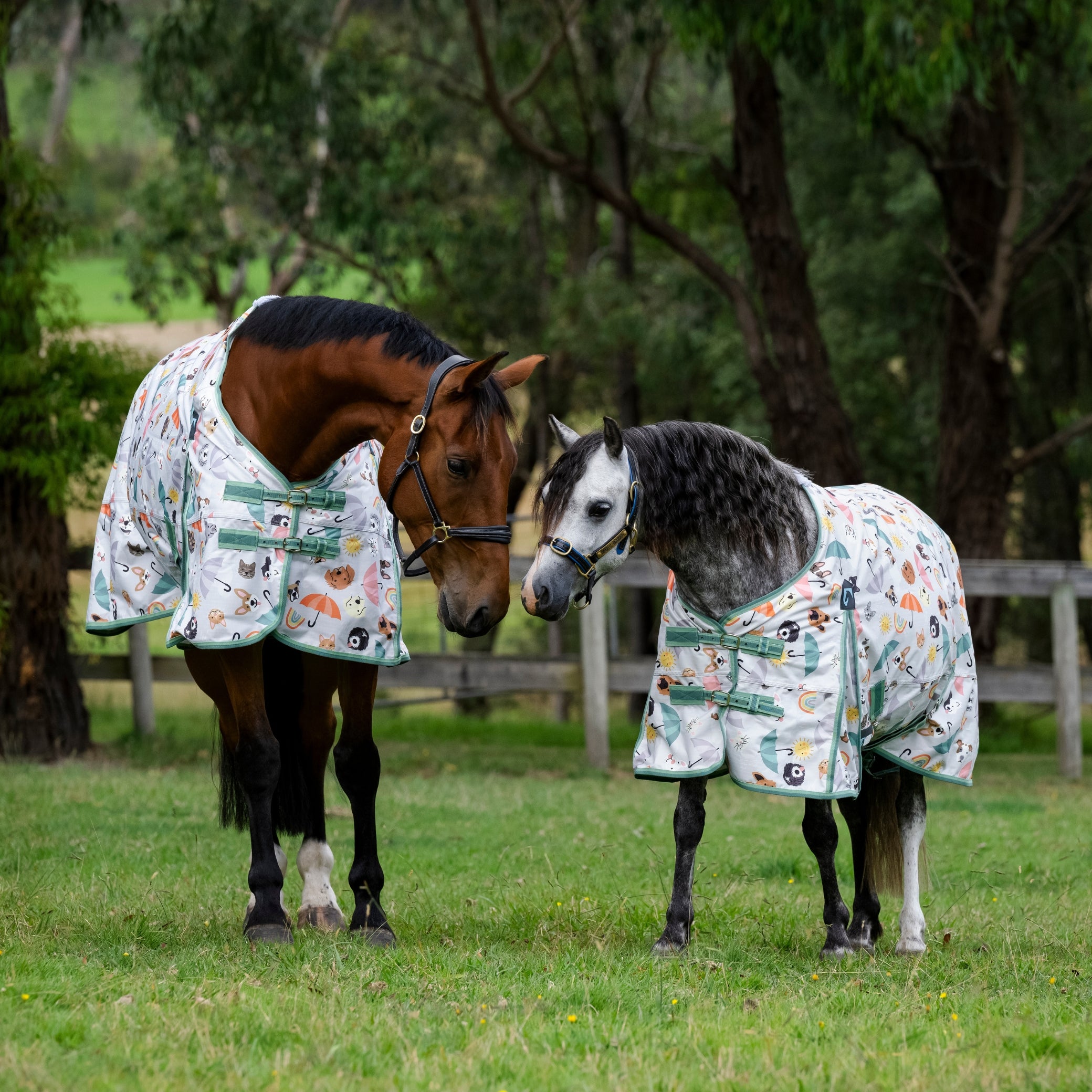 EQ Armour Ascent 600D 180g Rug Pony – EQ Saddlery