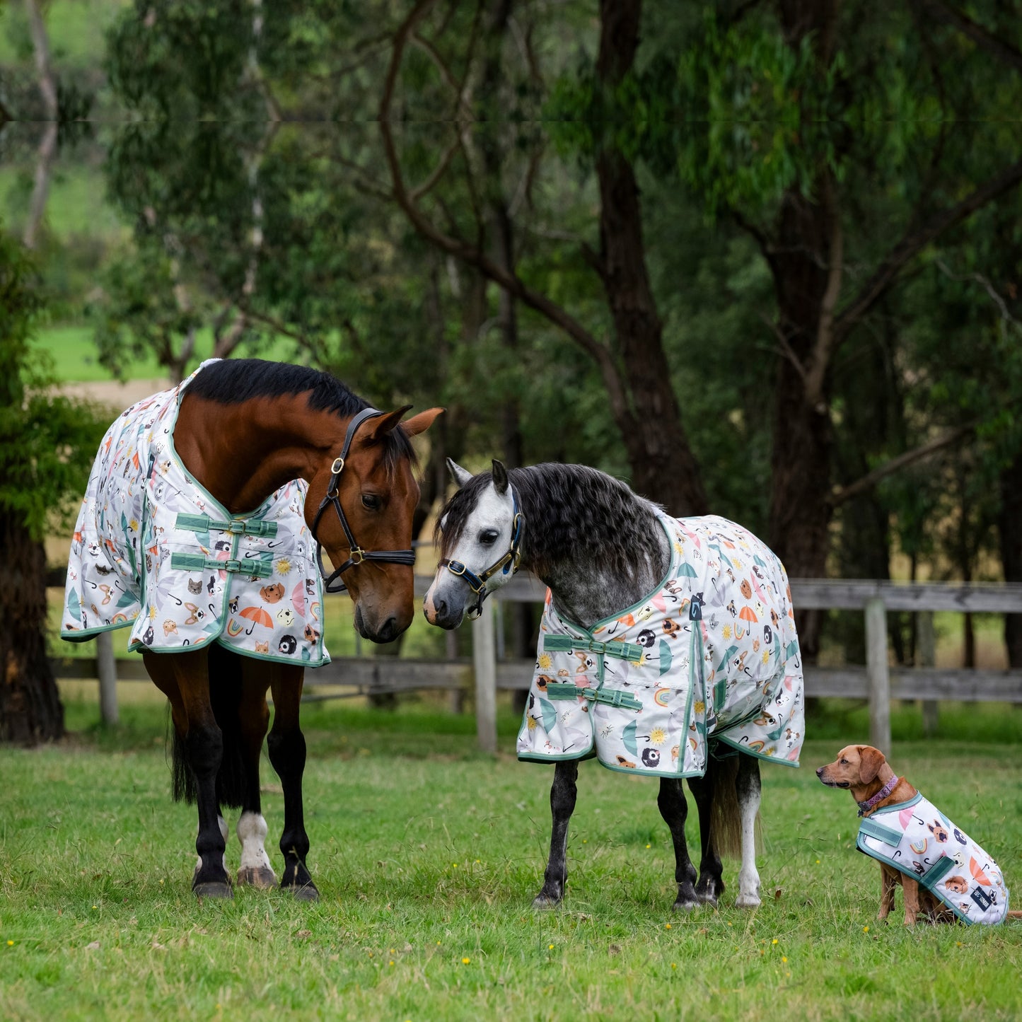 EQ Armour 600D Dog Rug
