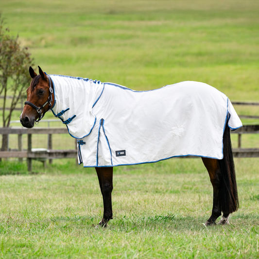 EQ Armour Flag Combo - EQ Saddlery