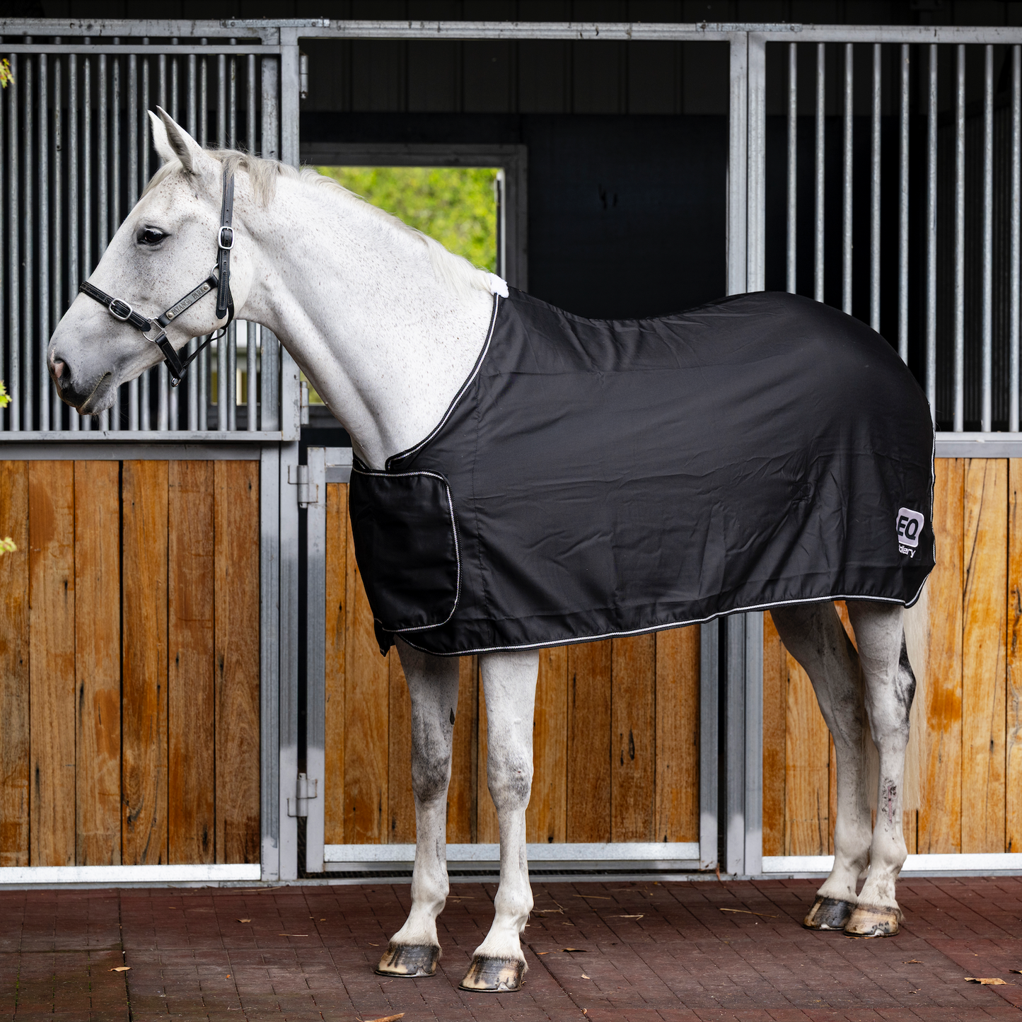EQ Armour Trophy Rug