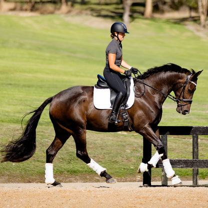 Devon Crystal Bridle