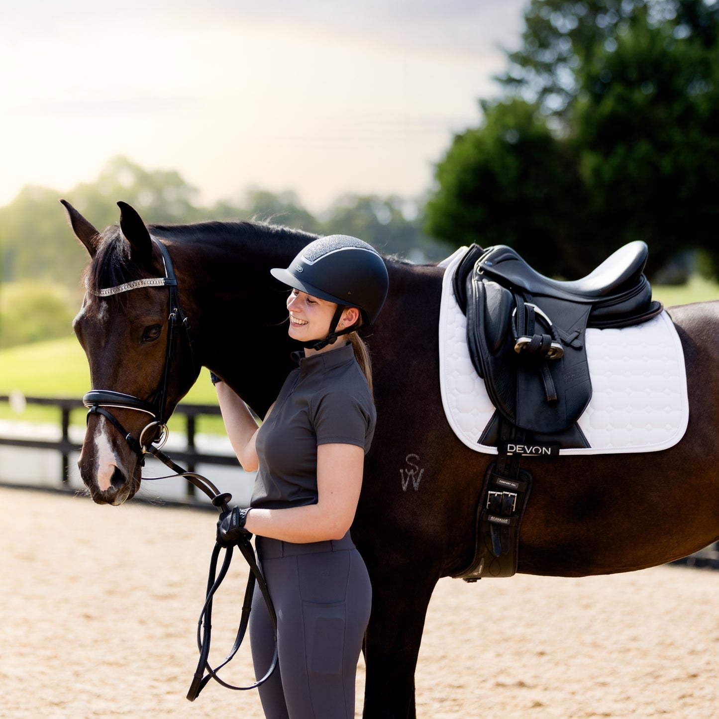 Devon Crystal Bridle
