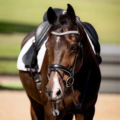 Devon Crystal Bridle