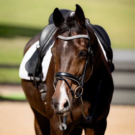 Devon Crystal Bridle