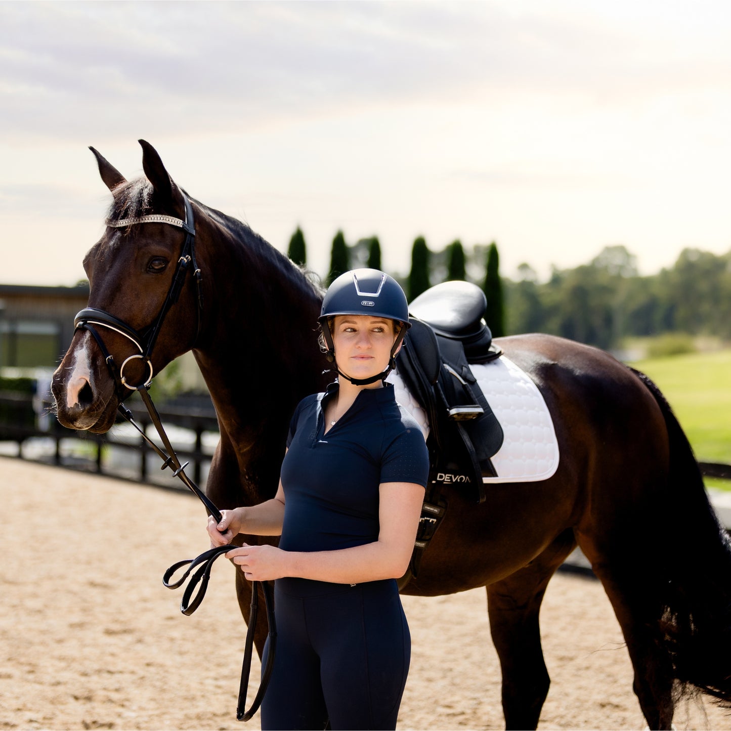 Devon Crystal Bridle