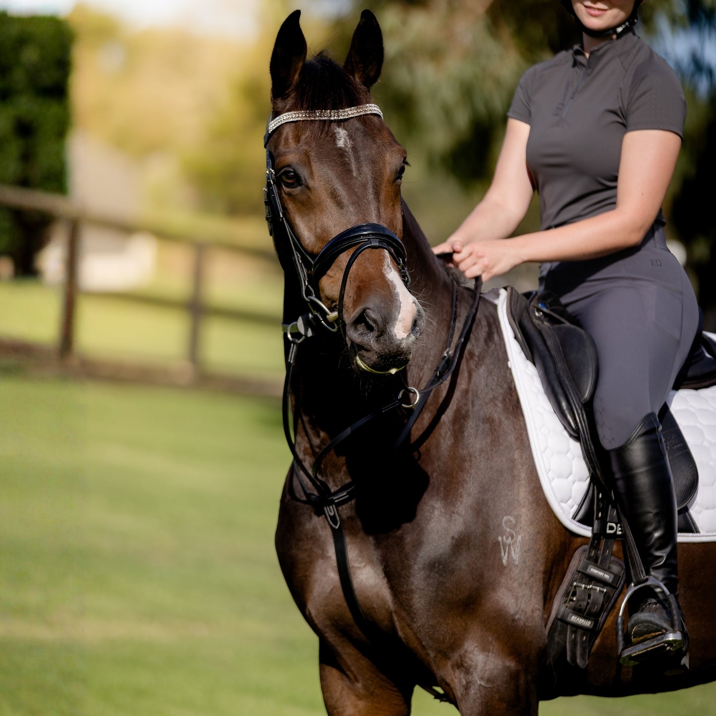 Devon Running Martingale