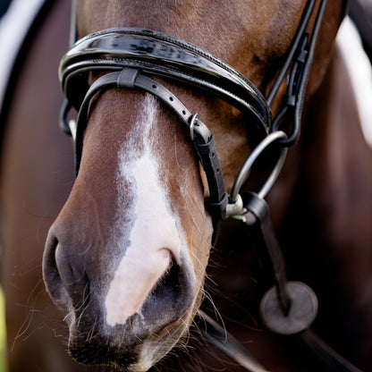 Devon Patent Crystal Bridle
