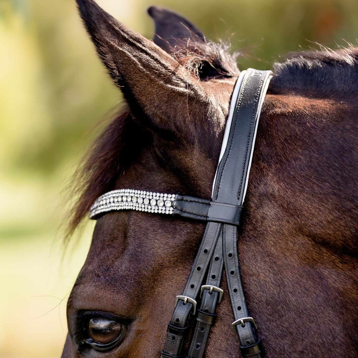 Devon Crystal Bridle
