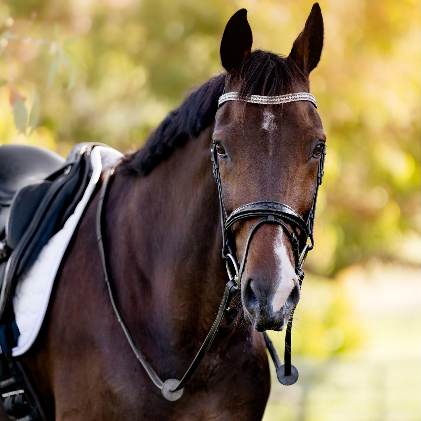 Devon Padded Reins