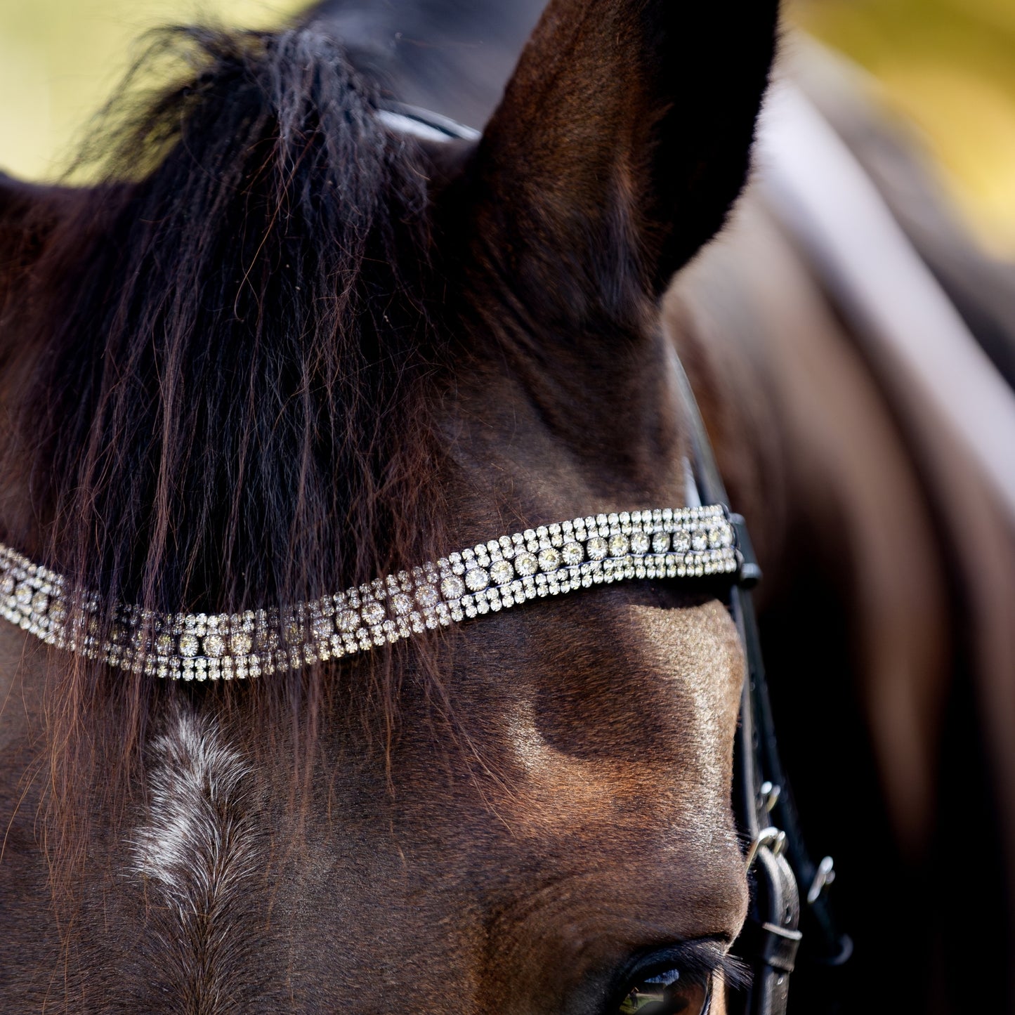 Devon Crystal Bridle