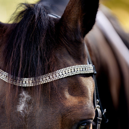 Devon Crystal Bridle