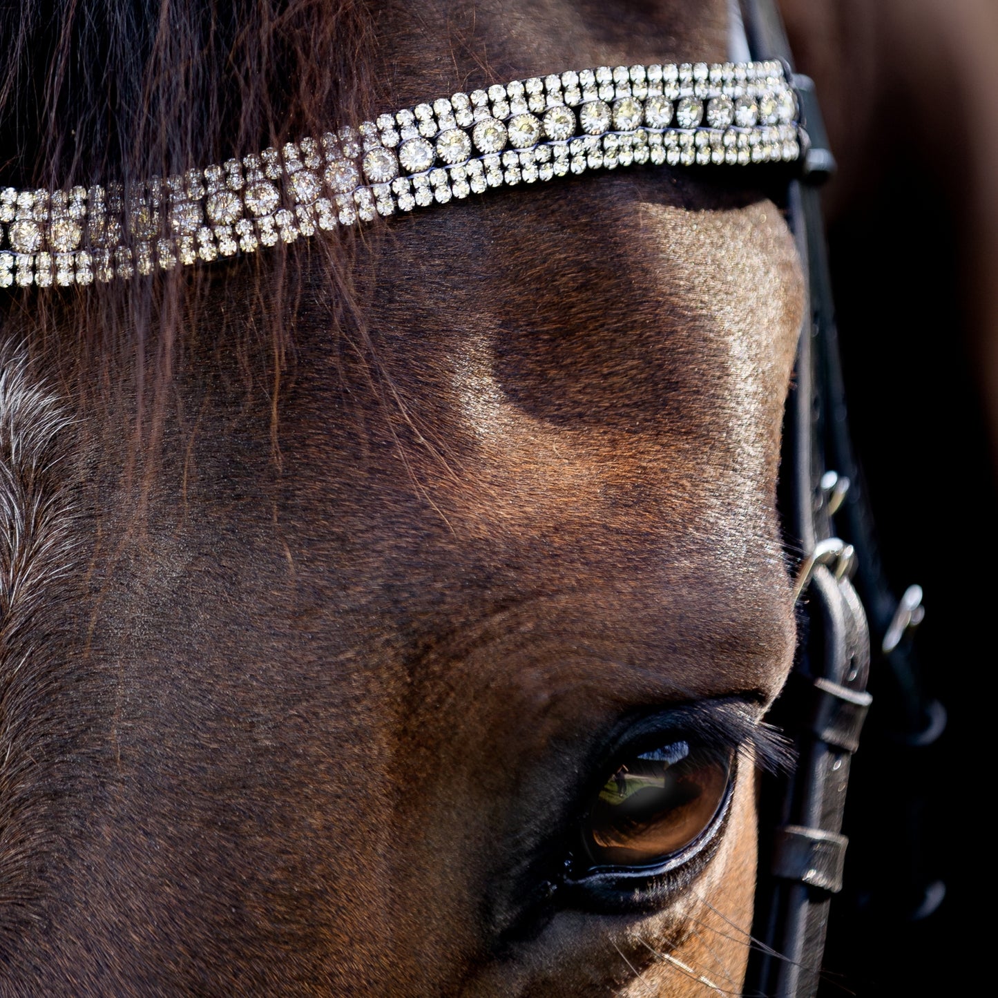Devon Crystal Bridle