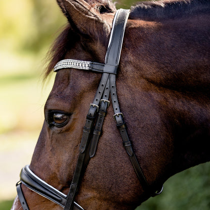 Devon Crystal Bridle