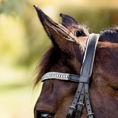 Devon Crystal Bridle