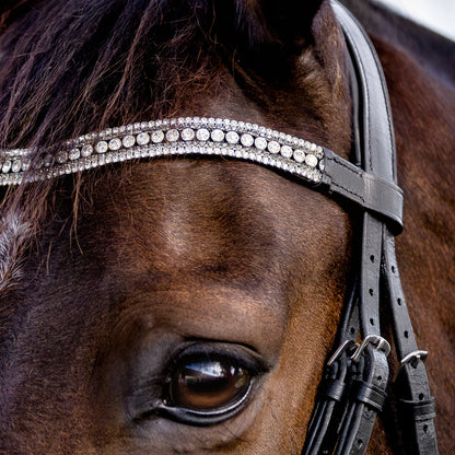 Devon Patent Crystal Bridle
