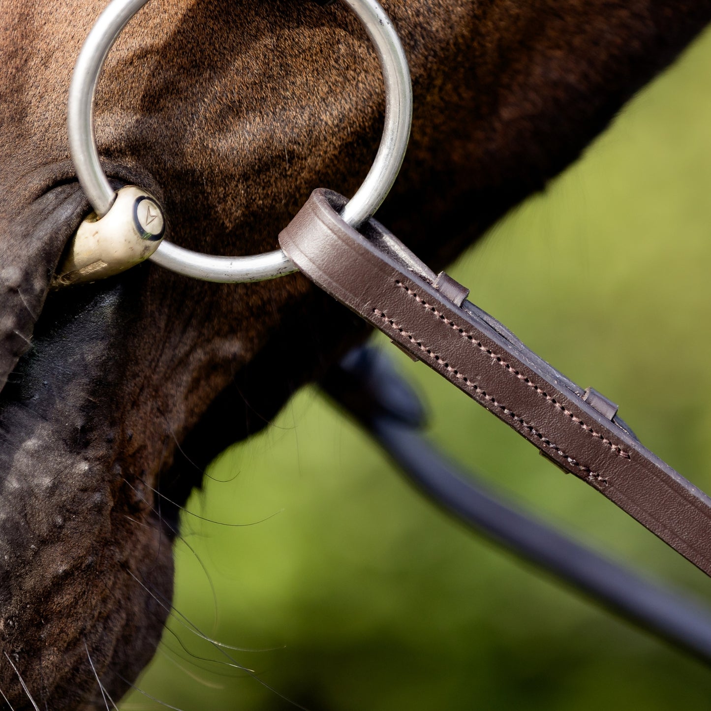 Devon Padded Reins