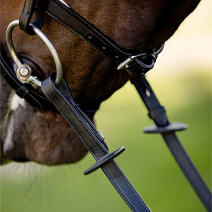 Devon Crystal Bridle