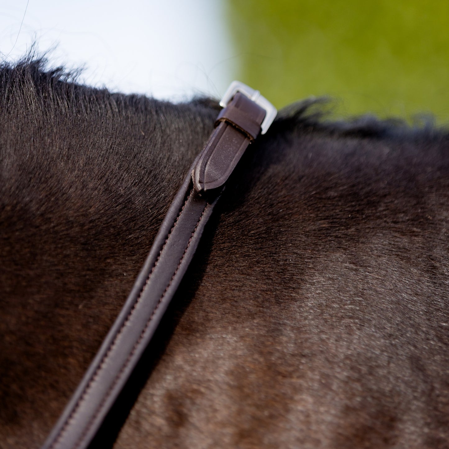 Devon Padded Reins