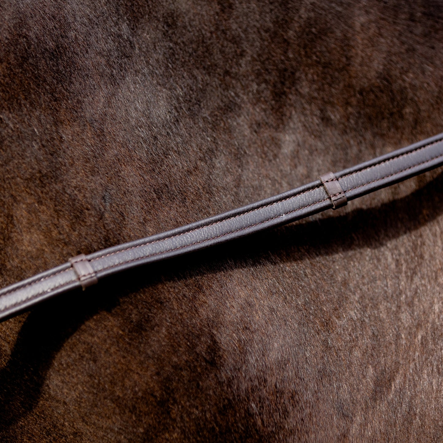 Devon Padded Reins