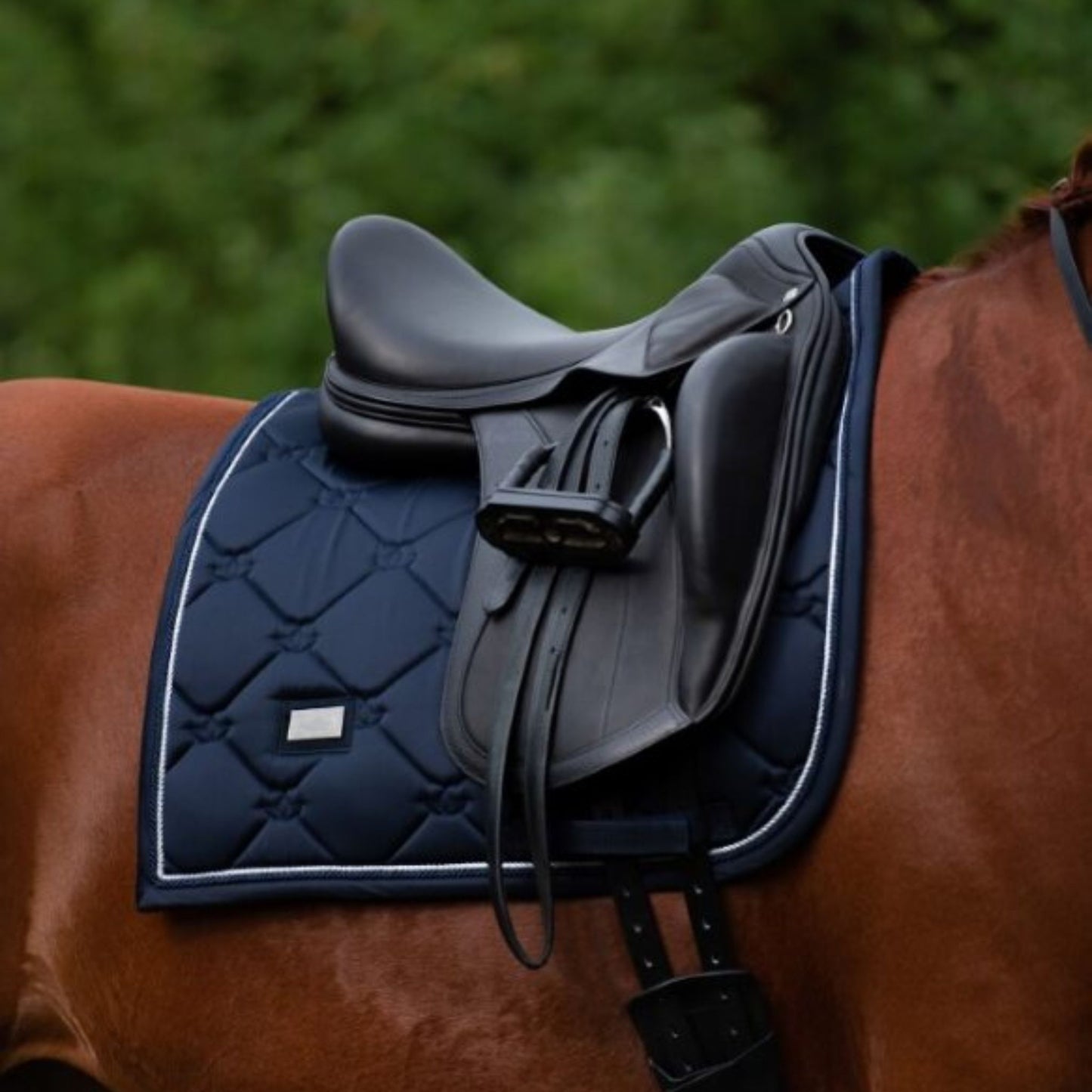 Equestrian Stockholm Dressage Saddle Pad