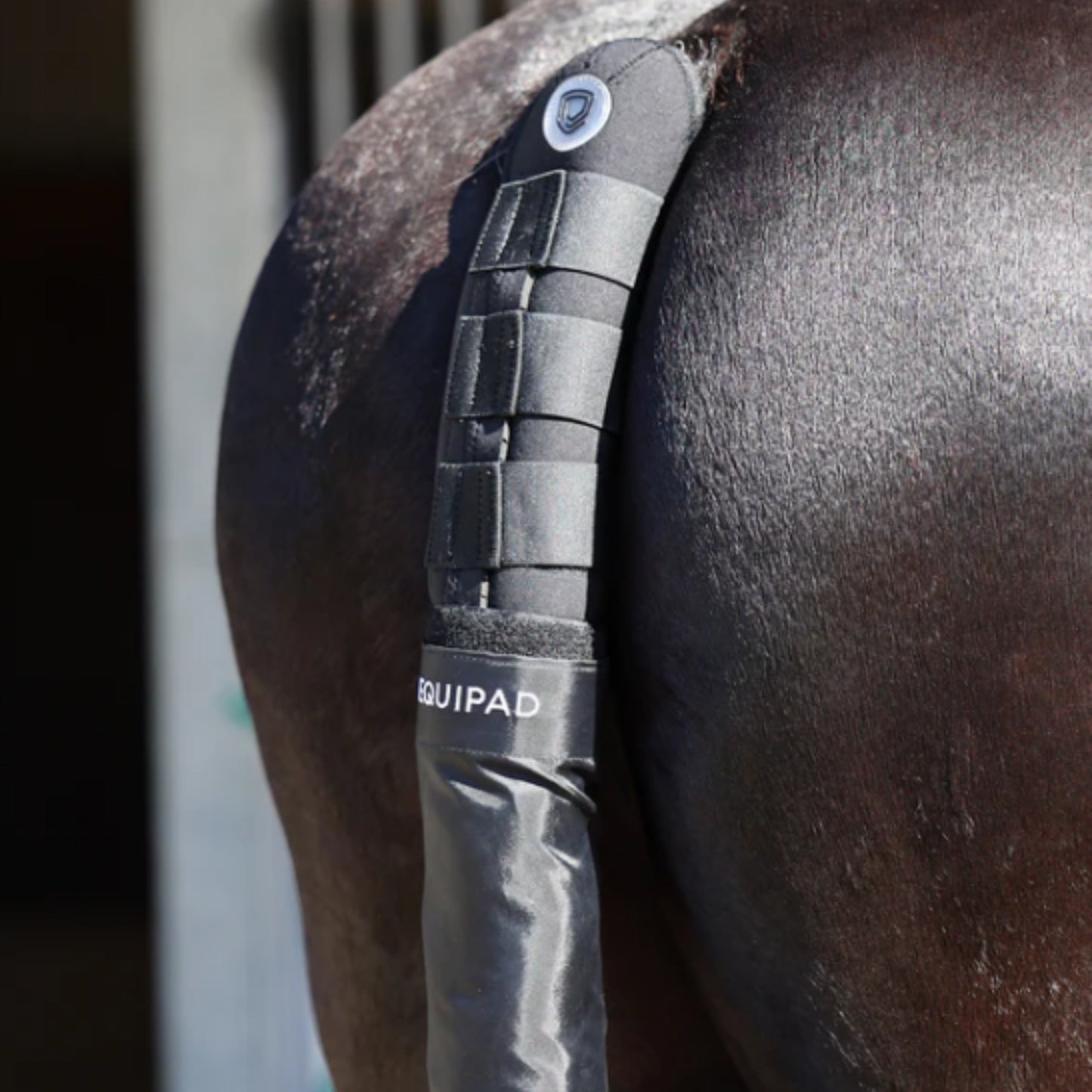 Equipad Equestrian Tail Boot with Detachable Tail Bag