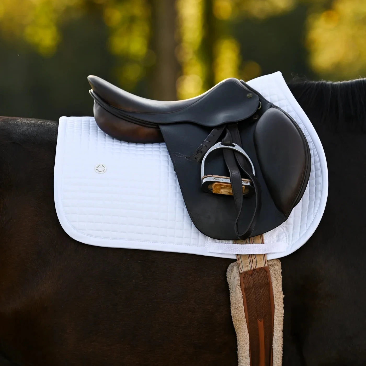 Equipad Equestrian Recycled Jump Saddle Pad – EQ Saddlery