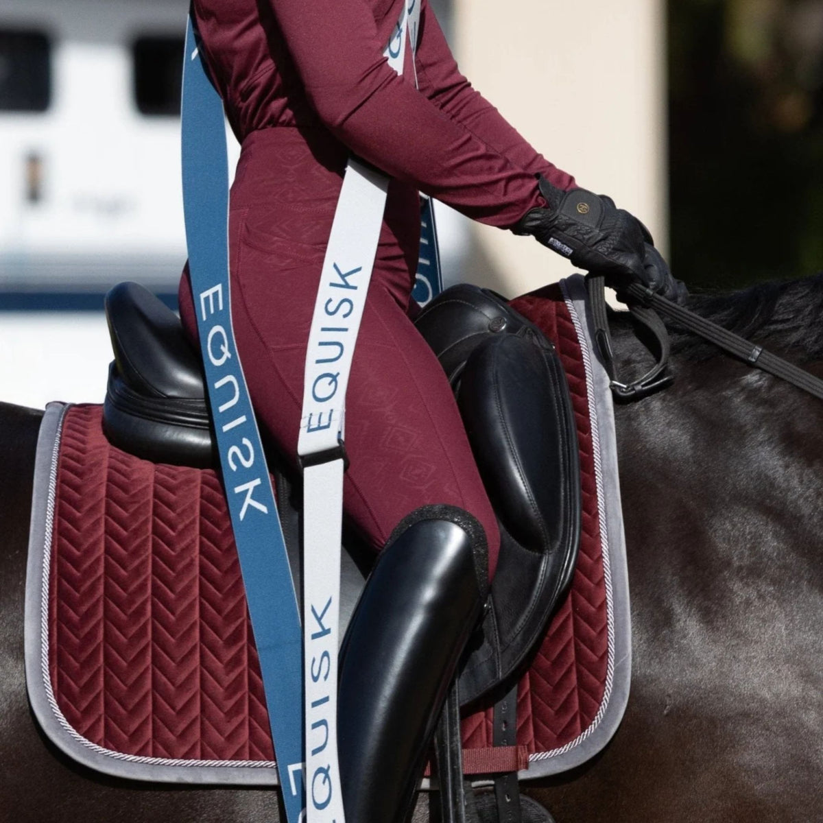 Equisk Engaged Rider Resistance Bands