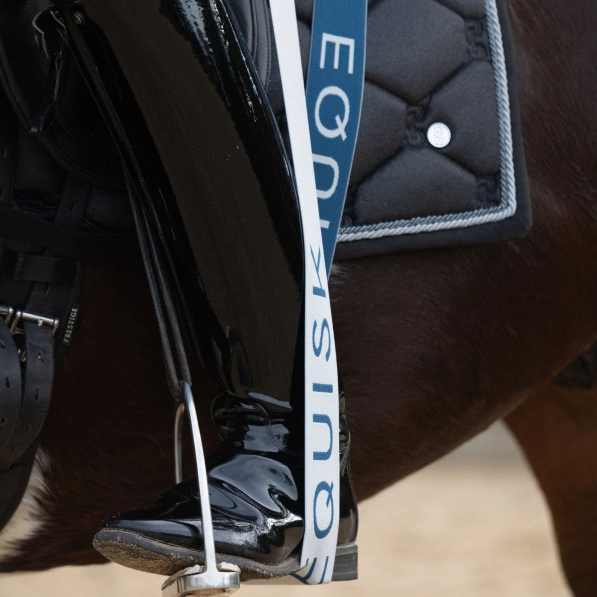 Equisk Engaged Rider Resistance Bands
