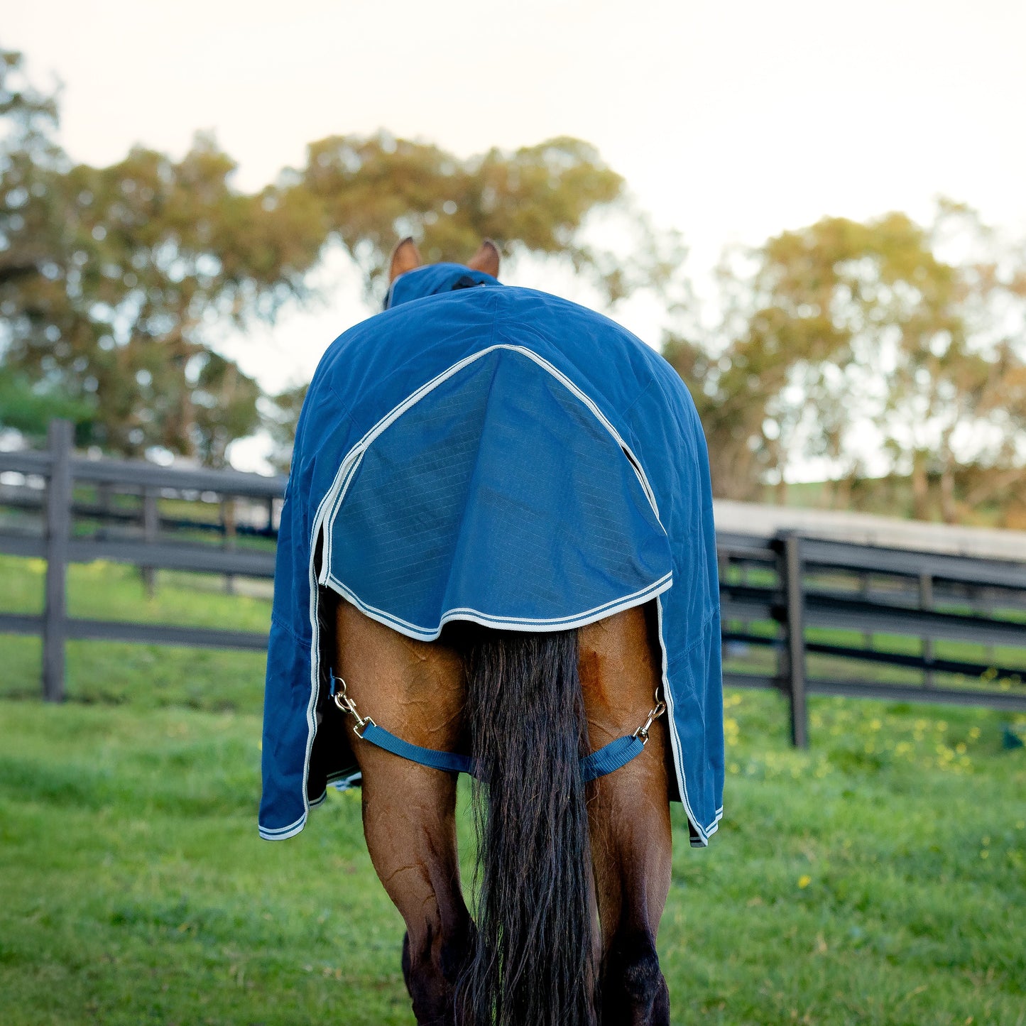 EQ Armour Ascent Plus 1200D 100g Detach-a-Neck