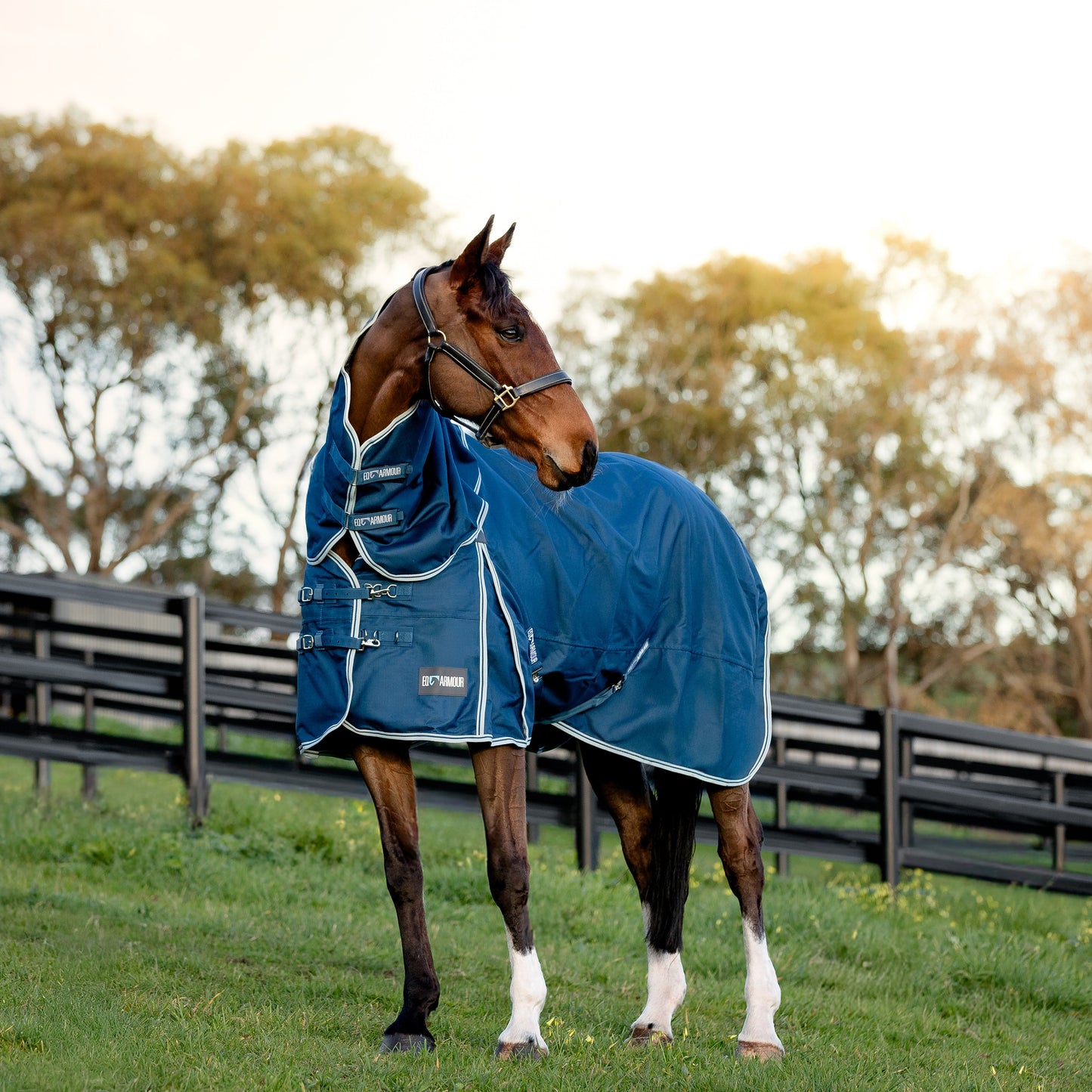 EQ Armour Ascent Plus 1200D 100g Detach-a-Neck