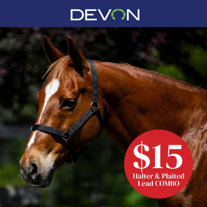 Devon Essential Halter