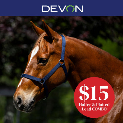 Devon Essential Halter